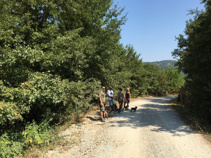 foto di gruppo passeggiata con i cani